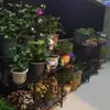 Sturdy 3 Tier Heavy Duty Plant Stand Indoor Outdoor Space Saving Carbon Steel Construction Plant Holder Easy Assembly 4
