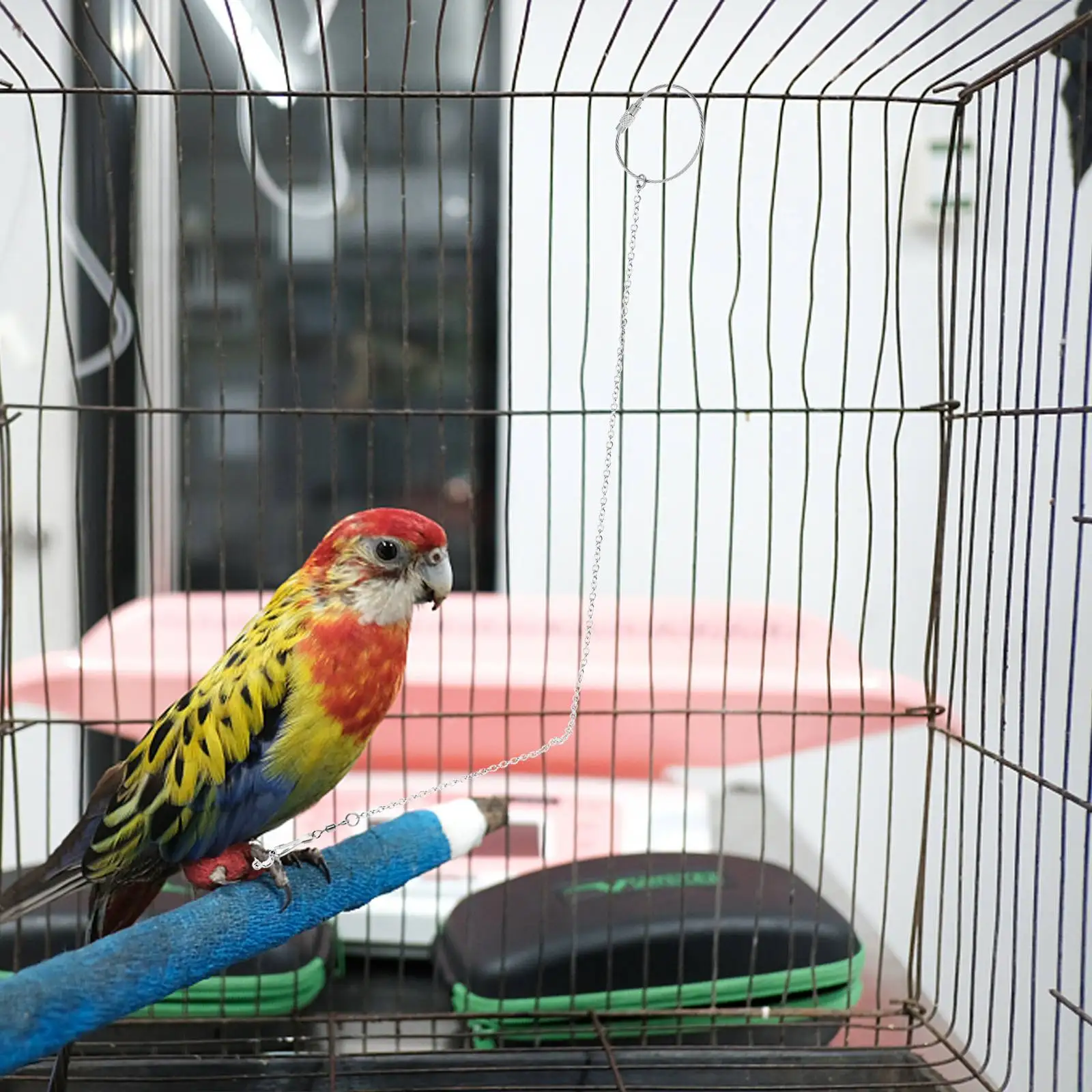 Stainless Steel Bird Chain Pet Chicken Harness Parrot Leash Cage Accessories for Parakeets Fly Train
