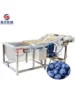 Top Quality Fruit and Vegetable Washing Machine Blueberry Strawberry Lemon Mango Washing Machine 1