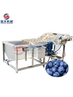 Top Quality Fruit and Vegetable Washing Machine Blueberry Strawberry Lemon Mango Washing Machine 1