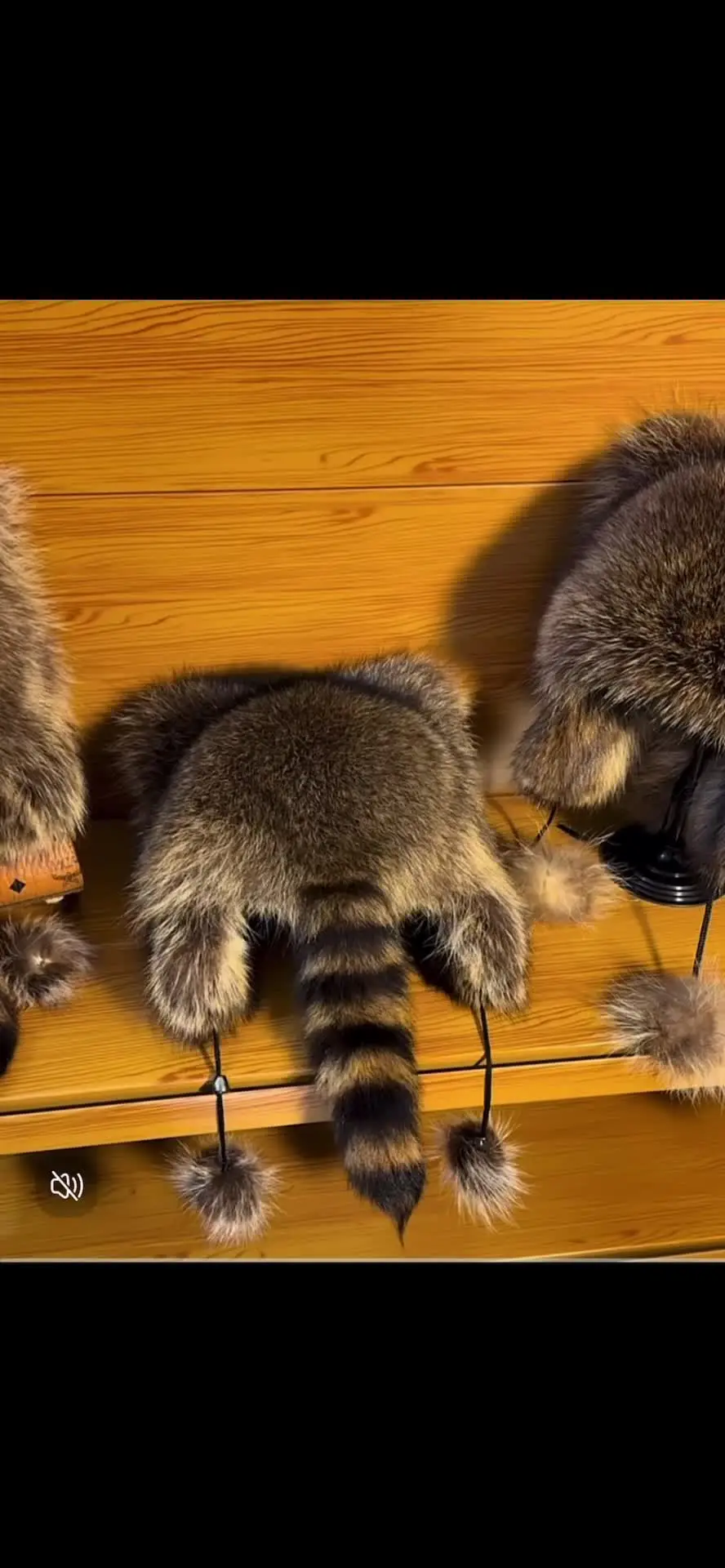 毛皮の帽子　アライグマ 女性のための本物のアライグマの毛皮のテールキャップ、天然の