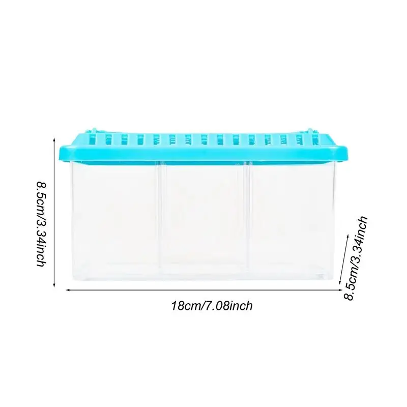 Betta Aquarium Transparent Fish tank Removable Dividers Small Fish Bowl Multi Compartment Layout decorative Aquarium