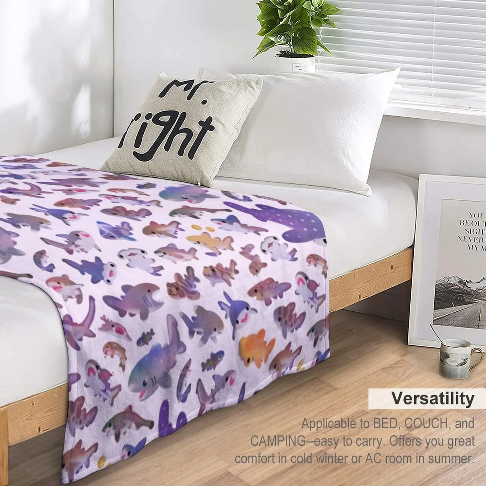 Shark day2-�̸� �Ǵ� ���� bg ���� ������ ���, ���� ���� ǫ���� ���, �ε巯�� ���� ���� ��Ƽ�� ���