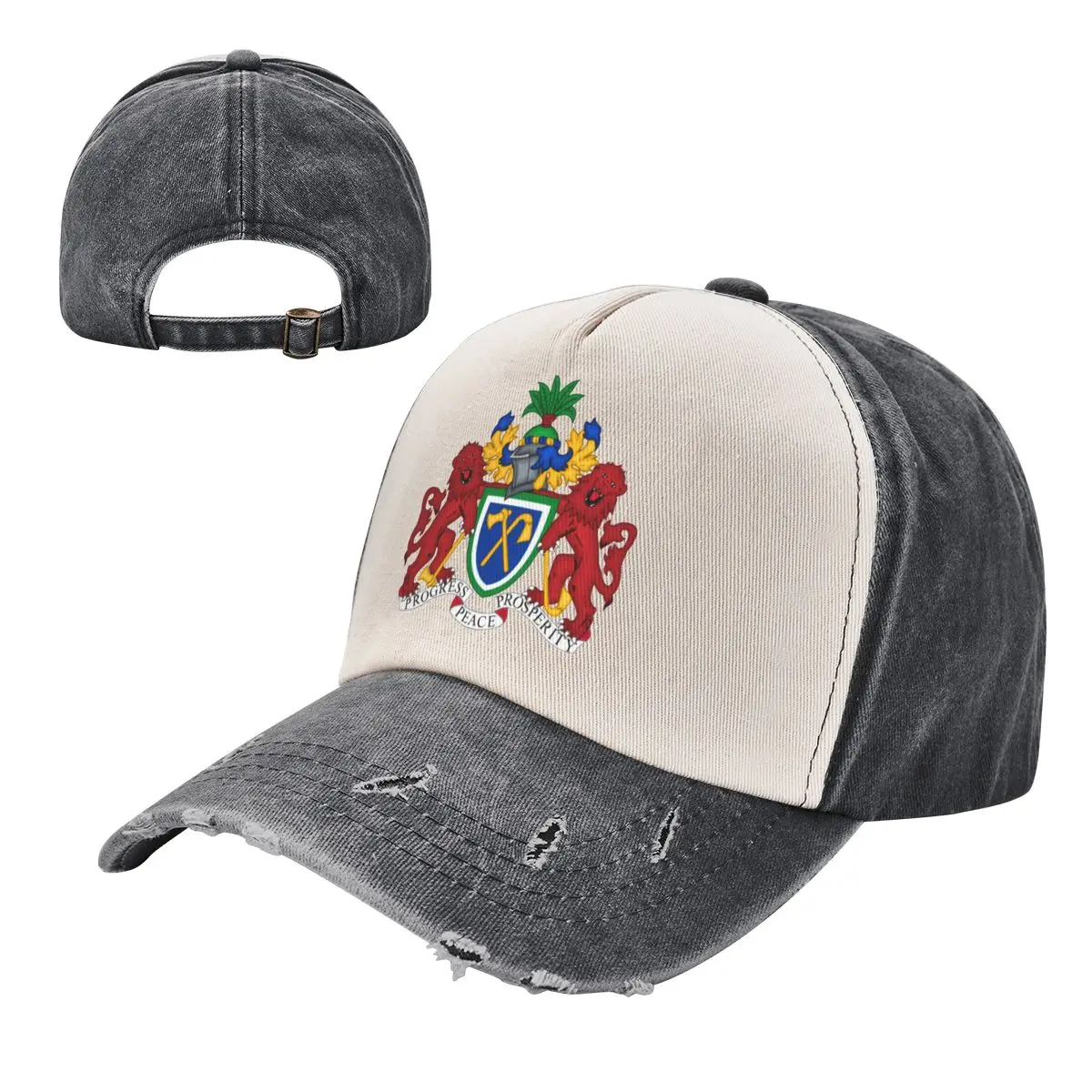 

Emblem Of Gambia Color Blocking Distressed Baseball Cap Dad Hats Men Women Vintage Washed Cotton Trucker Adjustable Gift