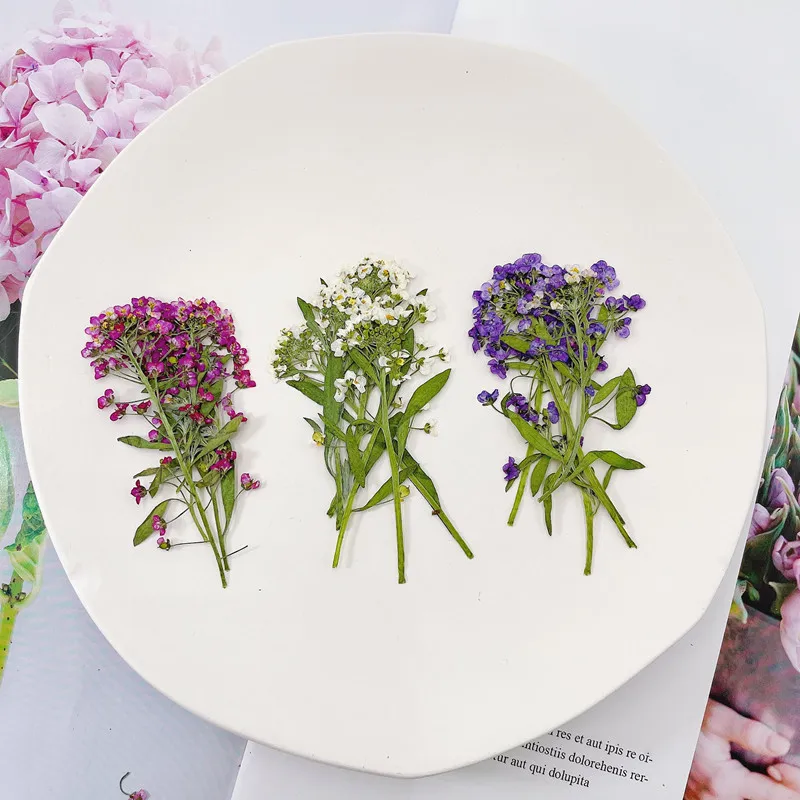 12pcs Dried Real Pressed Flower Stickers dyed pressed flower for phone case