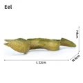 Eel