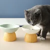 Cartoon Cat Bowl Ceramic Cute Pet Feeders High Footed Slanted Pet Bowl To Prevent Tipping Over 4