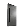 DS 2022 Hot Selling Cheap Wood Grain Steel Doors with Two Different Wings Pivot Door 1