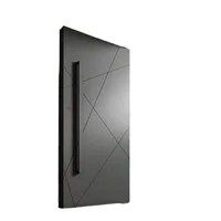 DS 2022 Hot Selling Cheap Wood Grain Steel Doors with Two Different Wings Pivot Door 1