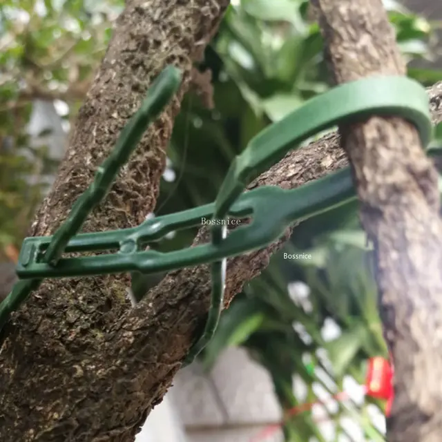 30 Darabos Műanyag Növénykötegek Újrahasznosítható Rögzítőelem Üvegházhatású Készlet A Kerti Fa Paradicsom Szőlőhöz Mászó Klip - Image 5