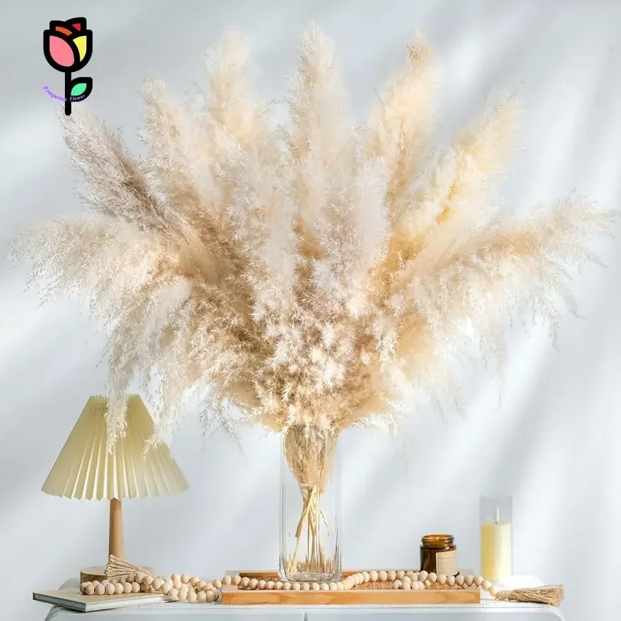 

20pcs Natural Water Pampas Grass Bouquet Home Decor Fluffy Phragmite Room Decoration Dried Flowers Goldenrod Wedding Arrangement