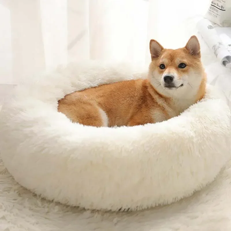 Title 3, Plush Cat Mat Dog Beds For Large Dogs Bed Labra...
