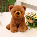 Sit brown bear hb