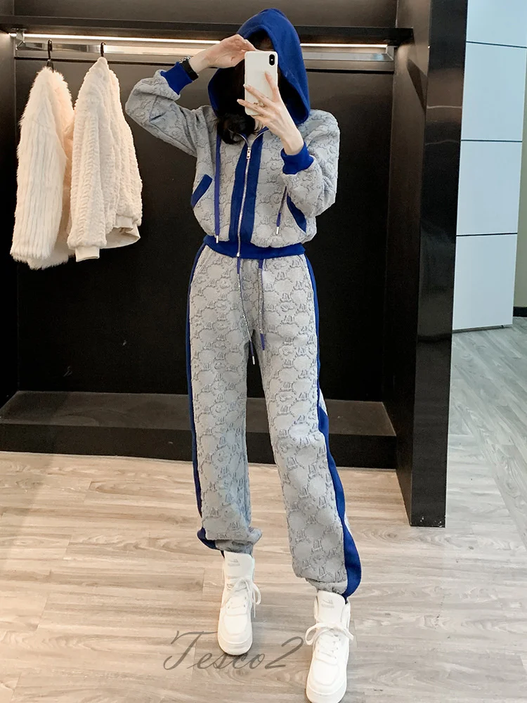 Tesco Autumn Winter New Women's Pant Sets Zip-up Jacket And Trousers Sports Casual Hooded 2 Piece Gray Women's Sports Suit