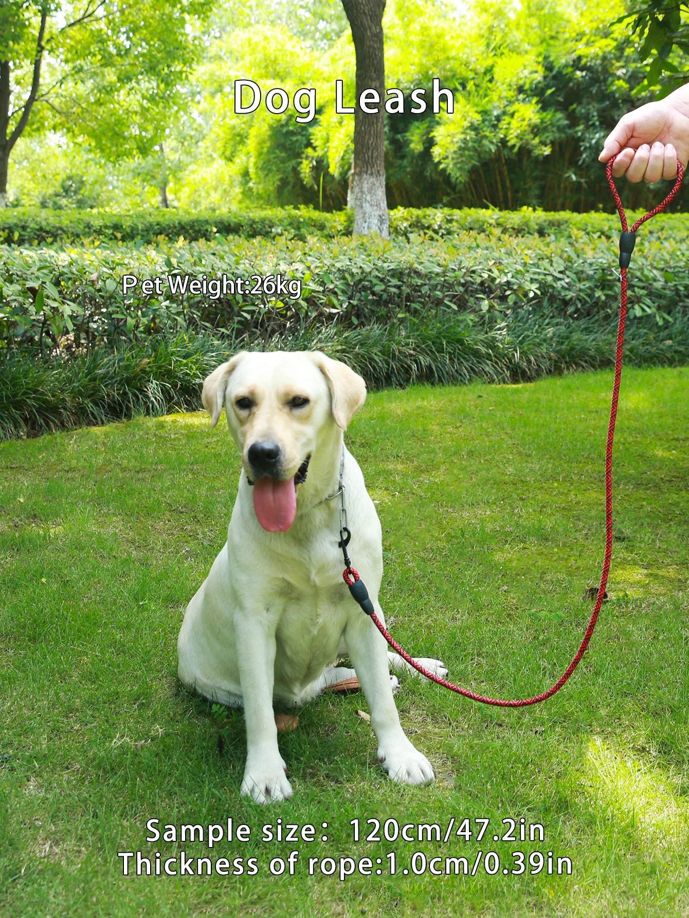 Title 3, 1pc Red Pet leash, outdoor leash, to prevent th...