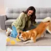 Interactive Dog Toys Moving Ball with Cover Self Rolling Dog Ball for Small/Medium/Large Dogs Automatic Dog Toys Keep Them Busy 4
