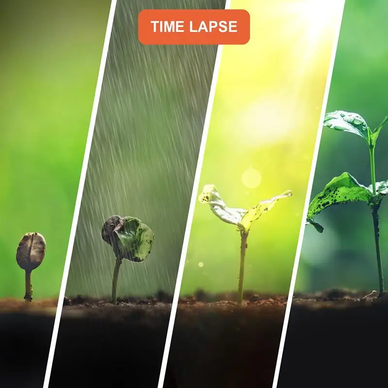 1080P IP66 Time Lapse Camera Picture Video Recorder 6 Months Outdoor Nature Observation Construction Photography Research Cam