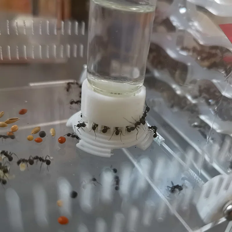 Ant Farm Supplies 5-40ml Ant Farm Water Tower Anthill Water Bowl for Ant House Workshop Feeder Nest Drinking Bottle Drinker