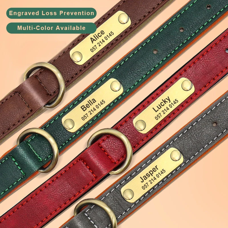 Рисунок 4 - Персонализированные Pet Собака