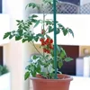 Reusable Plant Support Rod Plant Stakes Vine Climbing Bracket for Potted Plant DIY Handmade Flower Bouquet Stick Garden Supplies 4