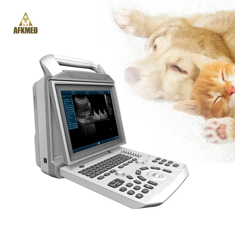 Jual Strong endurance cheapest portable veterinary ultrasound