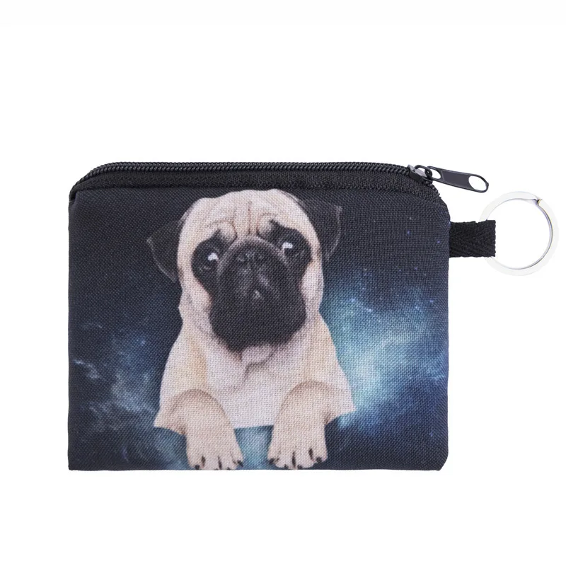 Animal Print Coin Purse