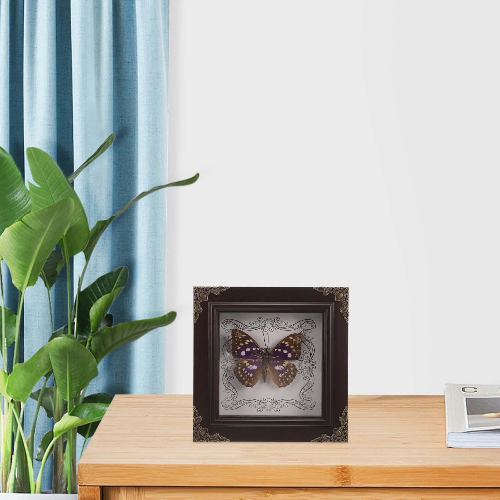 

Рамка для фотографий с изображением бабочки в домашних условиях