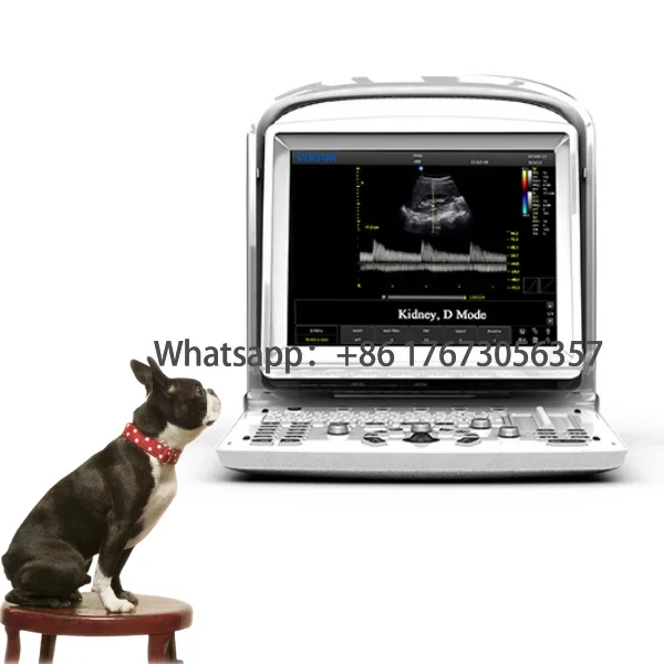 Медицинское животное больница Chison