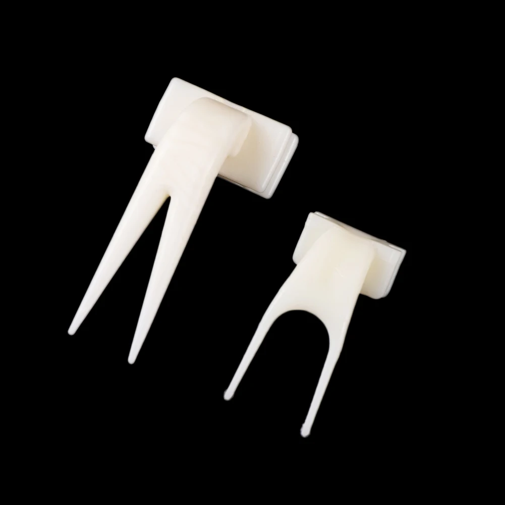 Bird Cage Fruit Fork Parrot Bird Feeder Pet Plastic Food Holder 5 Pcs