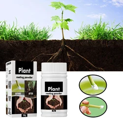 Premium Plant Rooting Powder for Accelerated Growth and Nutrition in Hydroponic Gardens