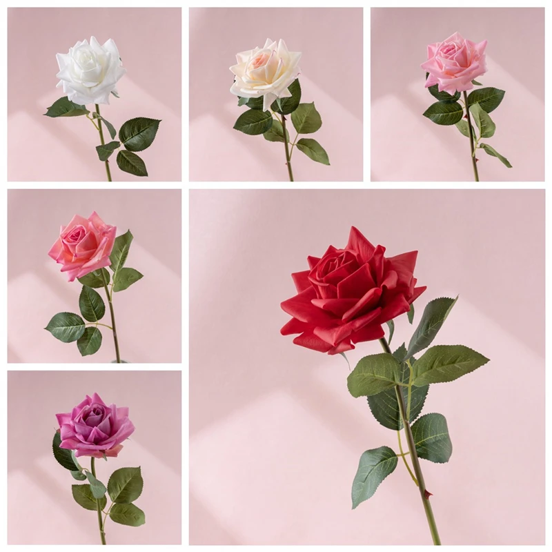 Light-and-Moon-Curled-Rose-Flower-Home-Garden-Flower-Green-Plants ...