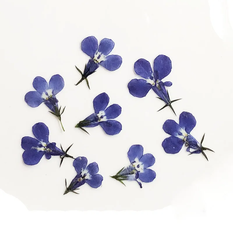 Slide image 1163006717d74f0f8bdc06b4f8c34007