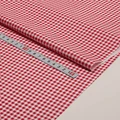 Red Grid Kid