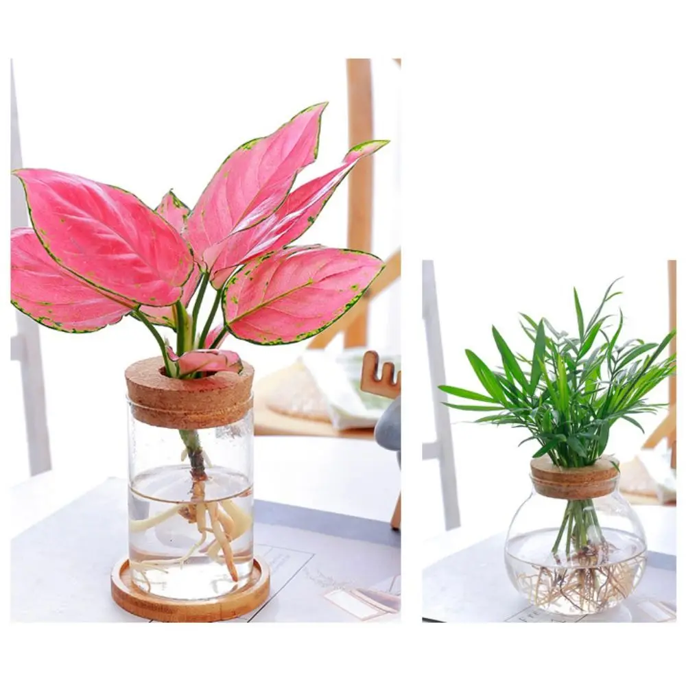 Transparent Hydroponic Flower Pot Green Plant Soilless Creative Home Glass Vase Potted Mini Terrarium flower pot flower vase hydroponic flower pot