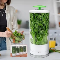 Household Clean Green Vegetable Transparent Saver Herb Cilantro Parsley Breathable Preservation Fresh Storage Container Box 1