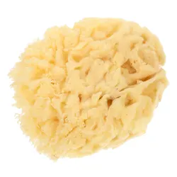 Natural Sea Sponge Soft Painting Tool - Versatile Water - Absorbing Sponge