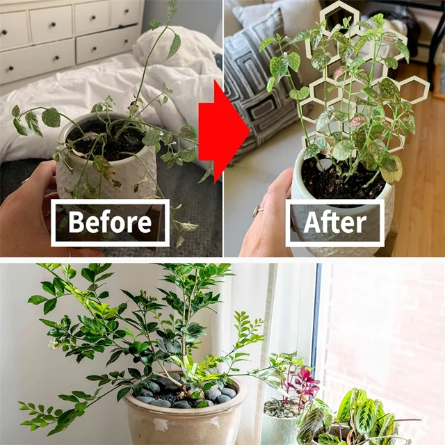 Növény Konzol Otthoni Kültéri Cserepes Hegymászó Keret Kreatív Virágállványtámogatási Elrendezés Polc Kertészeti Támogatás Mászás Ratt - Image 4