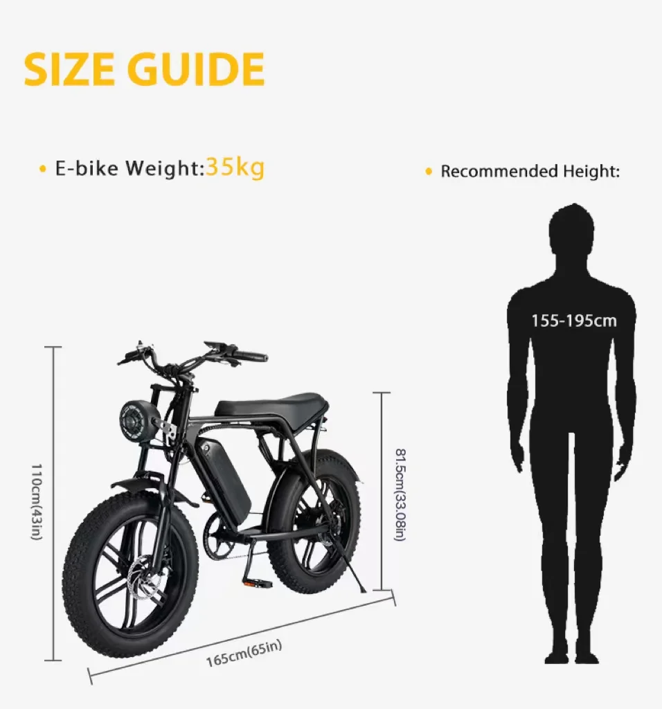 Retro V8 Max E-Bike Two Batteries Ebike V8 Two Seats 250W