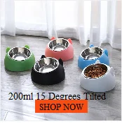Cats Chew Toy Natural Catnip Matatabi Actinidia Silvervine Cleaning Teeth Toy Cat Snacks Sticks Remove Cat Tartar Home Toys