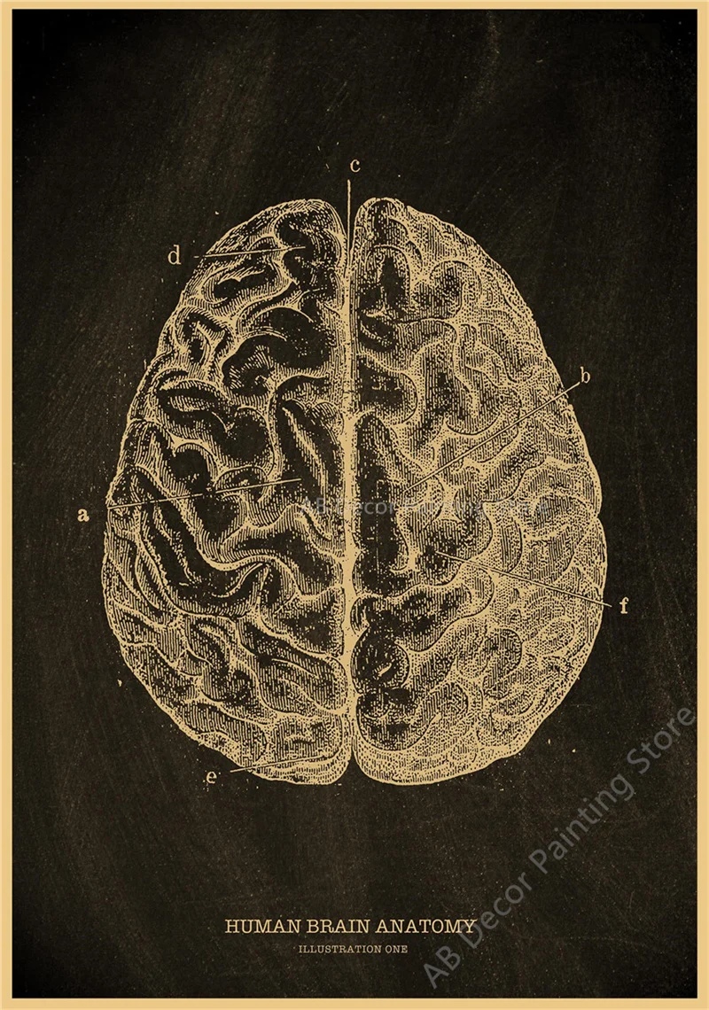 Nostalgic Posters Anatomy Chalkboard Poster Prints Body Parts Heart Hand Foot Drawing Vintage Home Room Art Wall Decor Painting Peckshirt