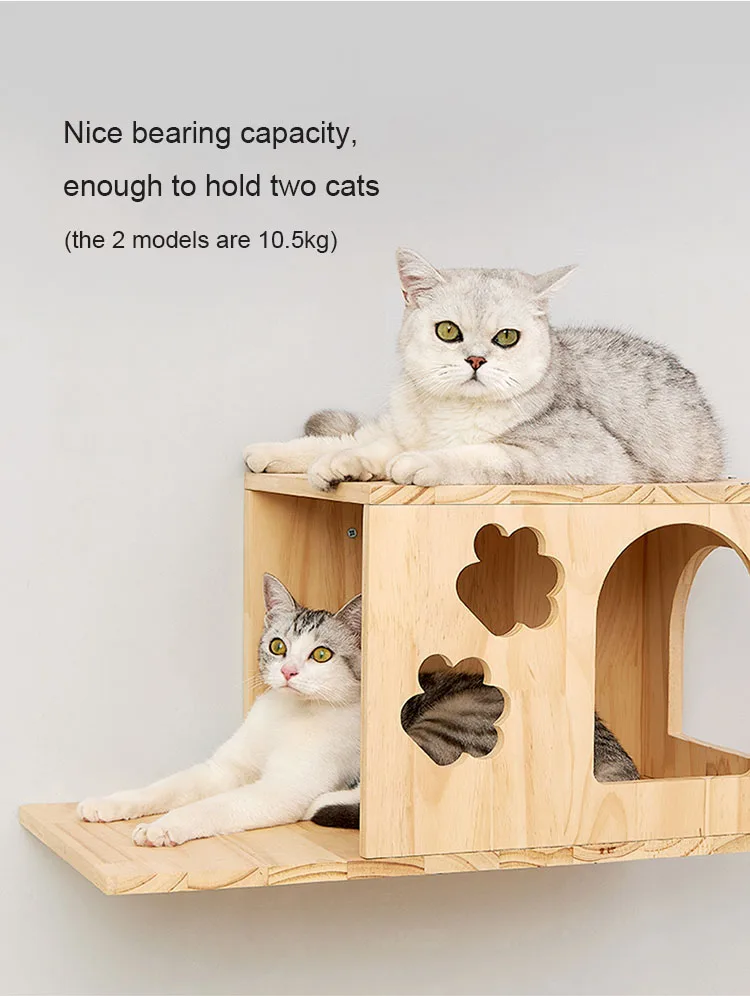 S5dcdaf7a0ec14fe89ac859a32e71fa64X