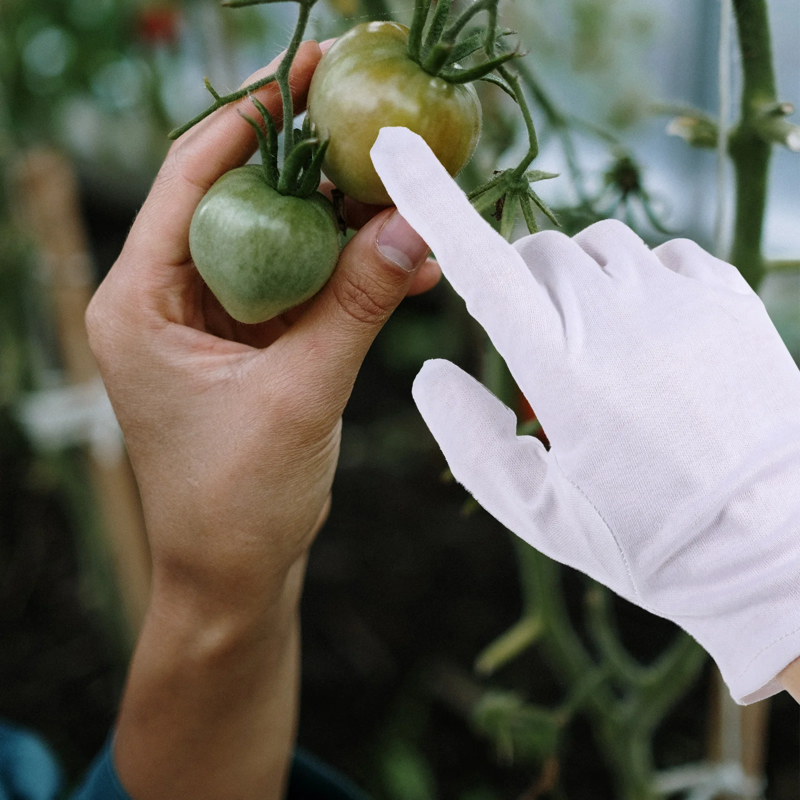 

2 Pairs White Touchscreen Gloves Cotton for Sleeping Dry Hands Outdoor Durable Work Garden Working