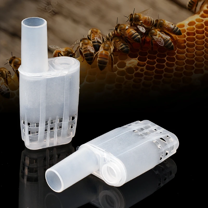 5/10Pcs Queen Bee Cages Beekeeping Protection Queen Bee Isolation Plastic White Move Beekeep Equipment Beekeeping Tool