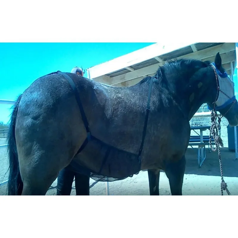 Horse Belly Protective Cover Horse-Proof Bite Net Horse Belly Breathable Protecting Net Comfortable Anti-Scratch Pr