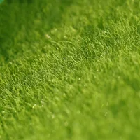 15x15CM/30x30CM Mini Simulation Flocking Turf Model Diy Lawn Moss Micro Landscape Plant Layout Materials Diorama Kit 1Pcs 2
