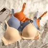 Slim Fit Comfortable Soft Adjustable and Non Removable Without Steel Ring Women Bra Daily Matching Women Bras 2