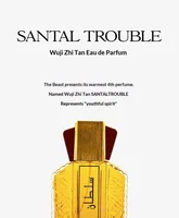Parfums arabes boisés pour hommes, vaporisateur de parfum, phéromone pour flirter, longue tenue, gentleman irrésistible, cadeau pour la Saint-Valentin 4