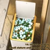 New Nordic Gold Press Trash Can Large Capacity For Kitchen Bathroom Garbage Bin Waterproof Bin With.jpg