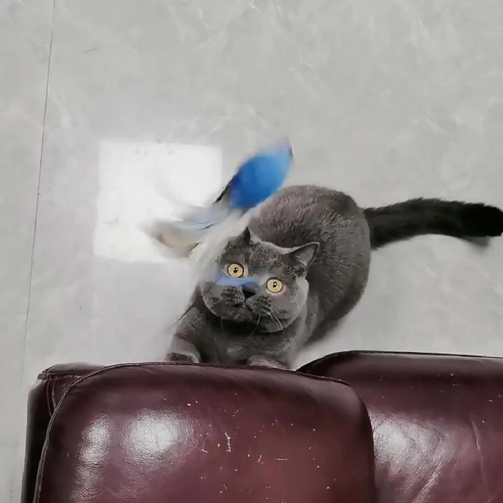 고양이 티저에 대 한 2pcs 교체 머리 재미 있은 고양이 스틱 장난감 막대 깃털 새 애완 동물 장난감 용품