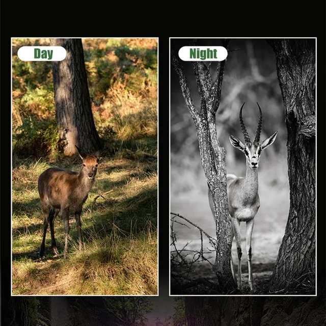 4K Wifi Wildlife Hunting Camera Remote Control Bluetooth Trail Camera 0.2S Fast Triggers Night Vision Outdoor Security Monitor 2
